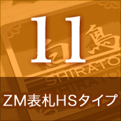 11.ZMɽHS