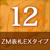 12.ZMɽEX