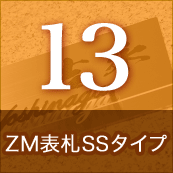 13.ZMɽSS