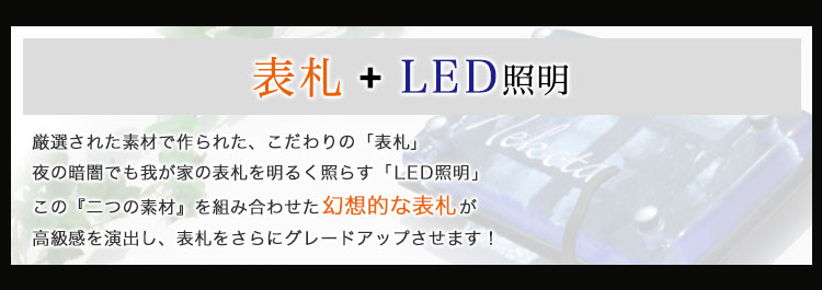 \D+LEDƖ