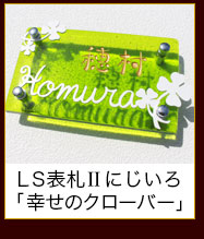 LS\DIIɂ@K̃N[o[