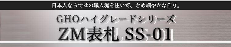 GHOnCO[hV[YZM\DSS-01